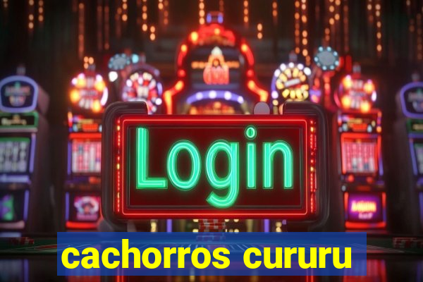 cachorros cururu